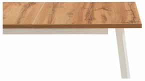 Стол обеденный Колон Лофт в Талице - talica.mebel24.online | фото 6