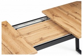 Стол обеденный Лота Лофт в Талице - talica.mebel24.online | фото 9