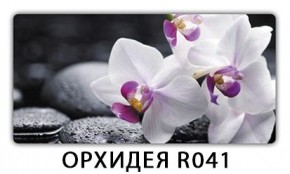 Стол раздвижной-бабочка Паук с фотопечатью Плита Р416 в Талице - talica.mebel24.online | фото 18