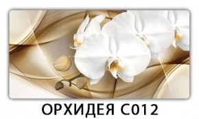 Стол раздвижной Трилогия с фотопечатью Доска D111 в Талице - talica.mebel24.online | фото 13
