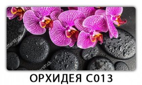 Стол раздвижной Трилогия с фотопечатью Доска D111 в Талице - talica.mebel24.online | фото 14