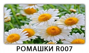 Стол раздвижной Трилогия с фотопечатью Доска D111 в Талице - talica.mebel24.online | фото 15