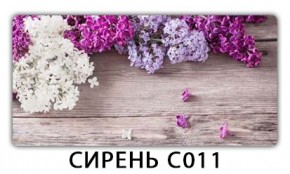 Стол раздвижной Трилогия с фотопечатью Доска D111 в Талице - talica.mebel24.online | фото 16