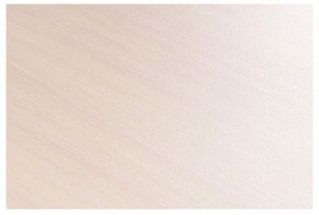 Стол-трансформер Престиж в Талице - talica.mebel24.online | фото 8