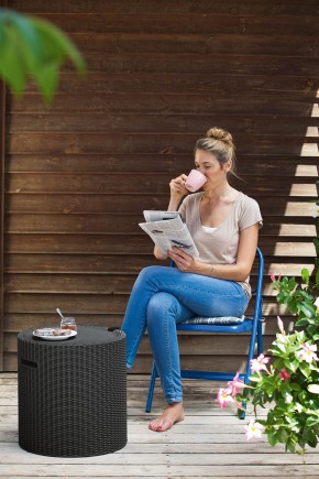 Столик-холодильник Кул-Стул (Cool stool) графит в Талице - talica.mebel24.online | фото 1