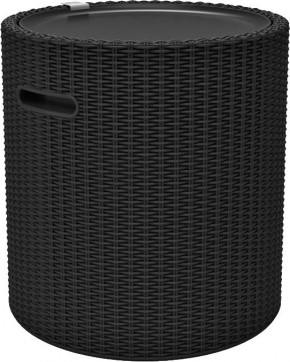 Столик-холодильник Кул-Стул (Cool stool) графит в Талице - talica.mebel24.online | фото 2