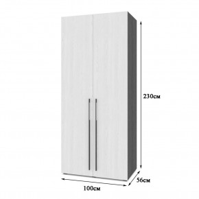 СТОУН С21 Шкаф 2-х створчатый (дуб золотой/графит) в Талице - talica.mebel24.online | фото 2
