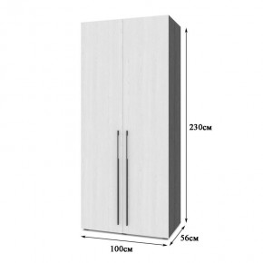 СТОУН С22 Шкаф 2-х створчатый (золотой дуб/графит) в Талице - talica.mebel24.online | фото 2
