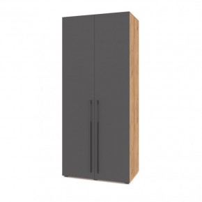 СТОУН С23 Шкаф 2-х створчатый (дуб золотой/графит) в Талице - talica.mebel24.online | фото