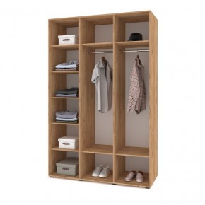 СТОУН С31 Шкаф 3-х створчатый (дуб золотой/графит) в Талице - talica.mebel24.online | фото 3