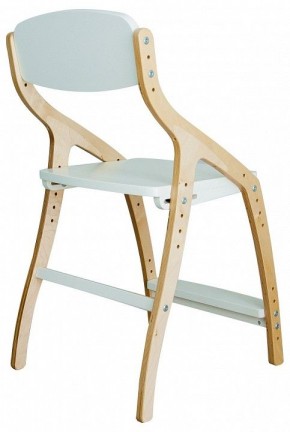 Стул Эверест в Талице - talica.mebel24.online | фото 3