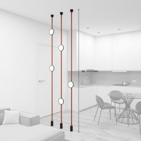 Светильник на растяжке Denkirs Belty SET DK55SET19-01-BR в Талице - talica.mebel24.online | фото 3