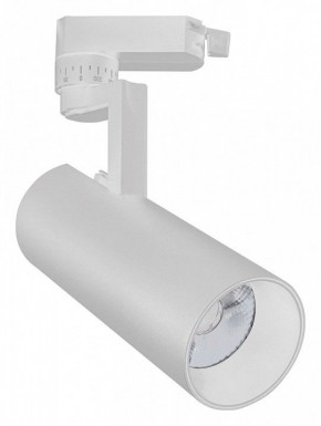 Светильник на штанге Escada 20029 20029TRA/02LED SWH в Талице - talica.mebel24.online | фото