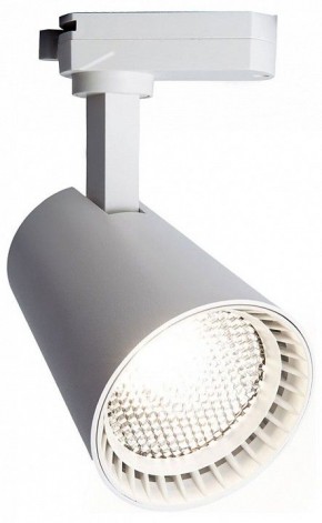 Светильник на штанге Feron AL100 41605 в Талице - talica.mebel24.online | фото