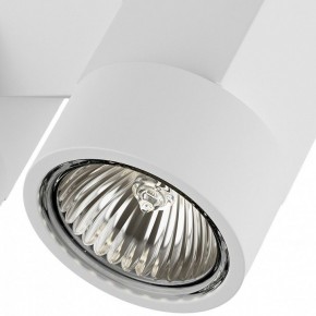 Светильник на штанге Lightstar Illumo X2 051036 в Талице - talica.mebel24.online | фото 2