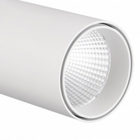 Светильник на штанге Mantra Fuji 7203 в Талице - talica.mebel24.online | фото 4