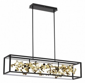 Светильник на штанге Odeon Light Bild 5065/65L в Талице - talica.mebel24.online | фото