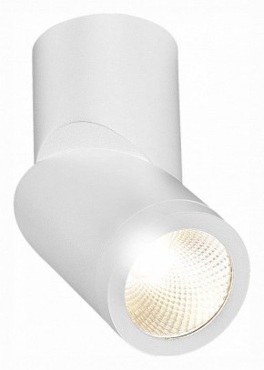 Светильник на штанге ST-Luce ST650 ST650.532.10 в Талице - talica.mebel24.online | фото 3