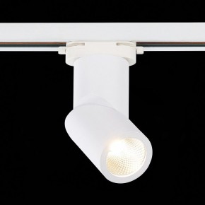 Светильник на штанге ST-Luce ST650 ST650.536.10 в Талице - talica.mebel24.online | фото 3