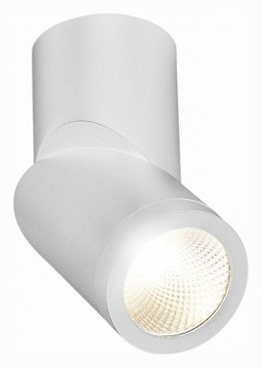 Светильник на штанге ST-Luce ST650 ST650.542.10 в Талице - talica.mebel24.online | фото 3