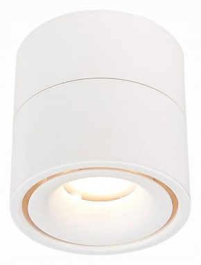 Светильник на штанге ST-Luce ST652 ST652.532.12 в Талице - talica.mebel24.online | фото 2