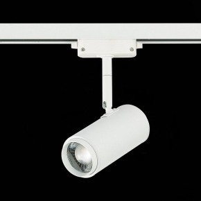 Светильник на штанге ST-Luce Zoom ST600.546.12 в Талице - talica.mebel24.online | фото 5