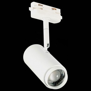 Светильник на штанге ST-Luce Zoom ST600.546.12 в Талице - talica.mebel24.online | фото 6