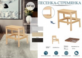 Табурет Стремянка в Талице - talica.mebel24.online | фото 4