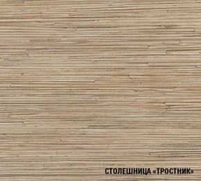 ТОМИЛЛА Кухонный гарнитур Оптима 5 (2700*1600 мм ) в Талице - talica.mebel24.online | фото 6