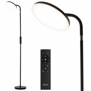Торшер Citilux SOLO CL804061 в Талице - talica.mebel24.online | фото 2