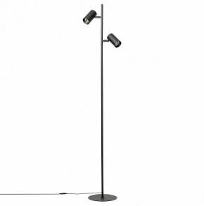 Торшер Citilux Twin CL809011N в Талице - talica.mebel24.online | фото