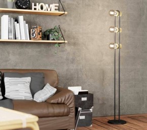 Торшер Eglo ПРОМО Chieveley 43544 в Талице - talica.mebel24.online | фото 2