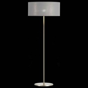Торшер EVOLUCE Brescia SLE300515-01 в Талице - talica.mebel24.online | фото 3