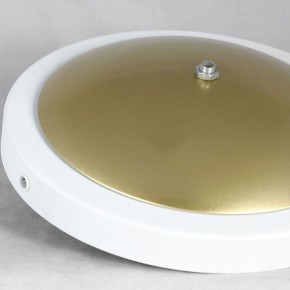 Торшер Lussole LSP-062 LSP-0625 в Талице - talica.mebel24.online | фото 2
