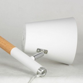 Торшер Lussole Buckeye LSP-0628 в Талице - talica.mebel24.online | фото 4