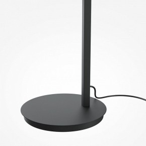 Торшер Maytoni Emphaty MOD363FL-L14B3K в Талице - talica.mebel24.online | фото 5