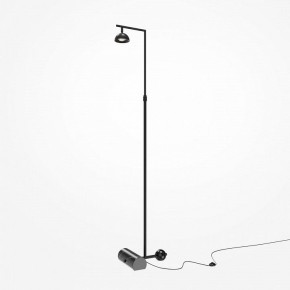 Торшер Maytoni Pikant MOD372FL-L10B3K в Талице - talica.mebel24.online | фото 2