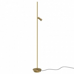 Торшер Maytoni Thin MOD395FL-L28BS3K в Талице - talica.mebel24.online | фото