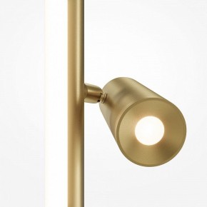 Торшер Maytoni Thin MOD395FL-L28BS3K в Талице - talica.mebel24.online | фото 5