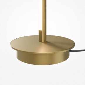 Торшер Maytoni Thin MOD395FL-L28BS3K в Талице - talica.mebel24.online | фото 7