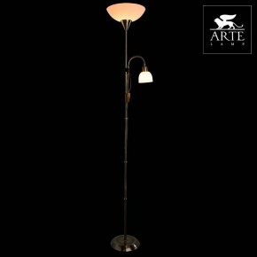 Торшер с подсветкой Arte Lamp Duetto A9569PN-2AB в Талице - talica.mebel24.online | фото 3