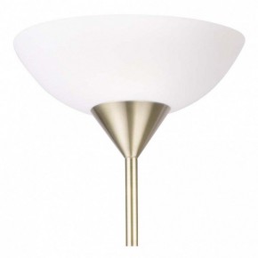 Торшер с подсветкой Arte Lamp Duetto A9569PN-2AB в Талице - talica.mebel24.online | фото 5