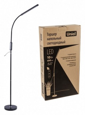 Торшер Uniel ULM-T619 UL-00010178 в Талице - talica.mebel24.online | фото 4