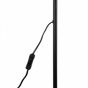 Торшер Uniel UML-T701 UL-00010188 в Талице - talica.mebel24.online | фото 8