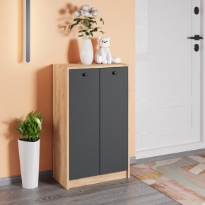 Тумба для обуви Рино в Талице - talica.mebel24.online | фото 3