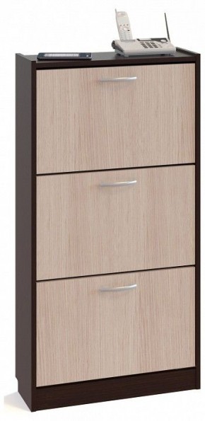 Тумба для обуви ТО-23 в Талице - talica.mebel24.online | фото
