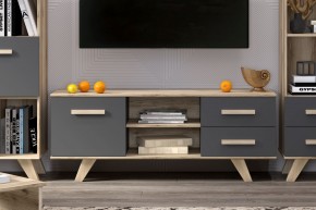 Тумба под ТВ Вега Скандинавия в Талице - talica.mebel24.online | фото 4