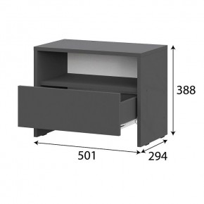 КАМЕЛИЯ 1 Серия 2 Тумба прикроватная Графит серый в Талице - talica.mebel24.online | фото 3