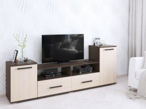 Тумба ТВ Парус-2 венге/дуб молочный в Талице - talica.mebel24.online | фото