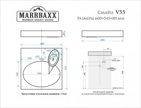 Умывальник над стиральной машиной (600*545*80) Смайл V55D1 (белый) с кронштейном без сифона (V55D1) в Талице - talica.mebel24.online | фото 2